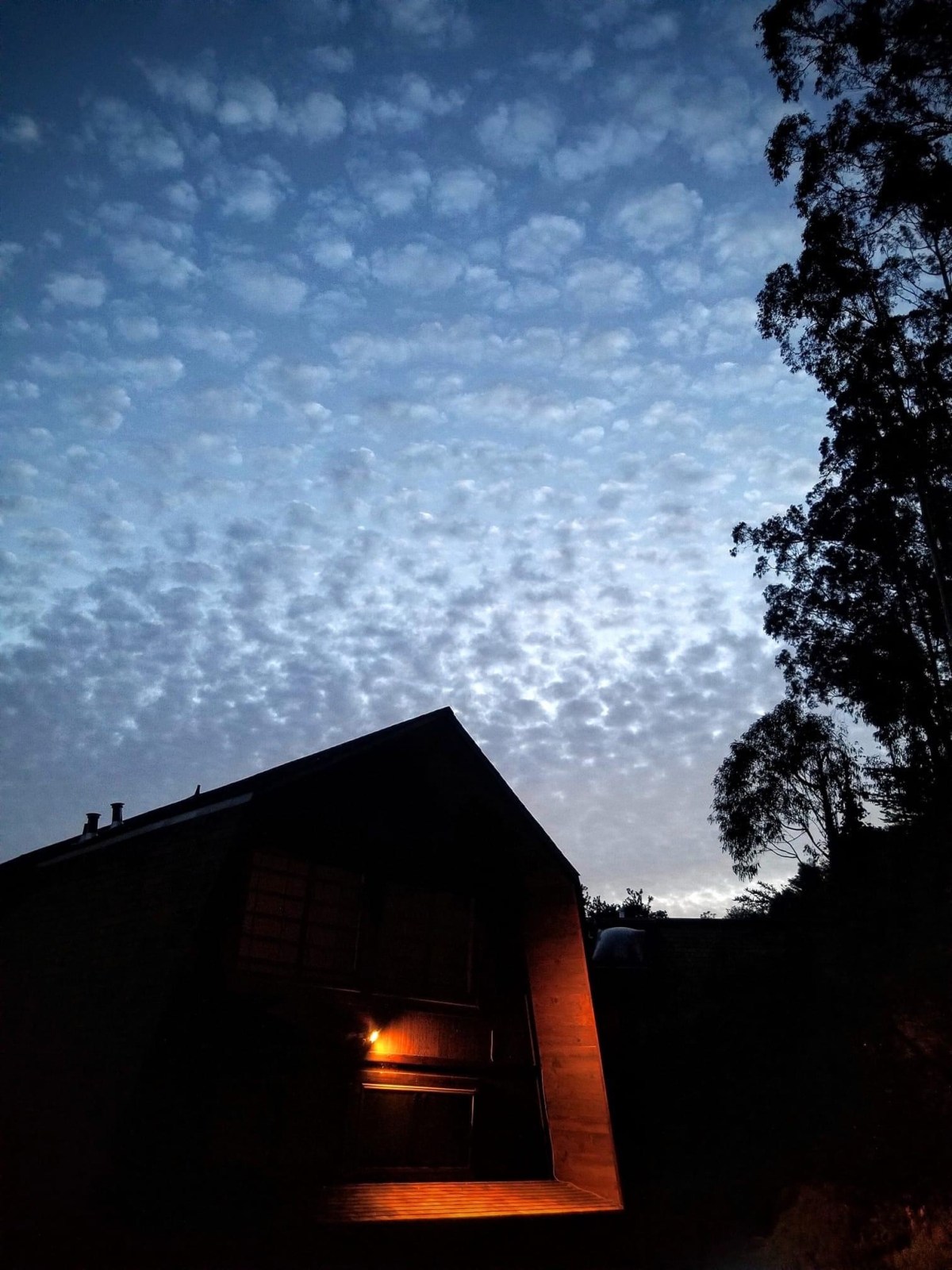 Waking Up to&nbsp;Mars